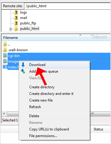 the folder marked “public_html” and select all the files within before right-clicking to select “Download.”