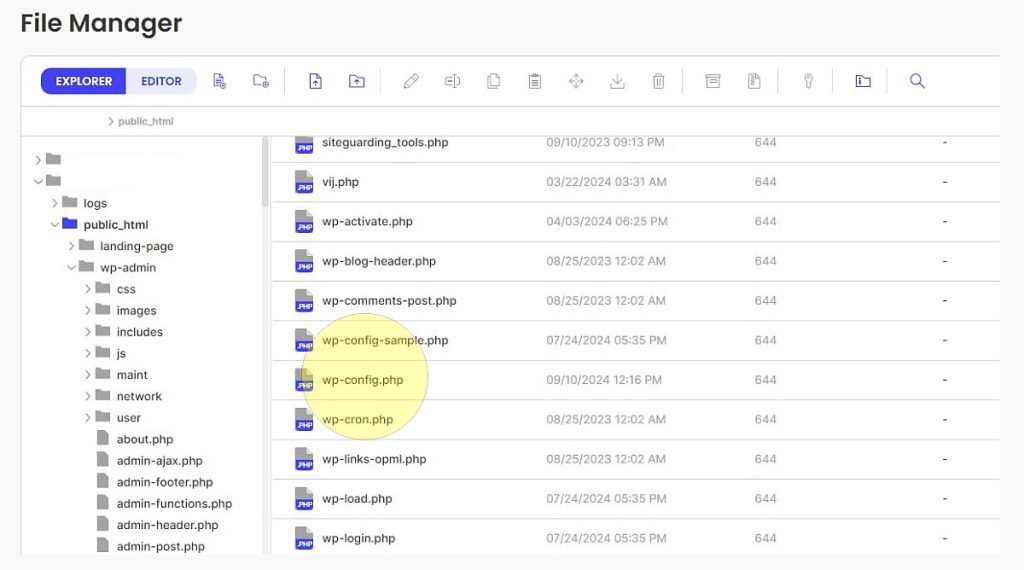 wp-config file is highlighted in the host files